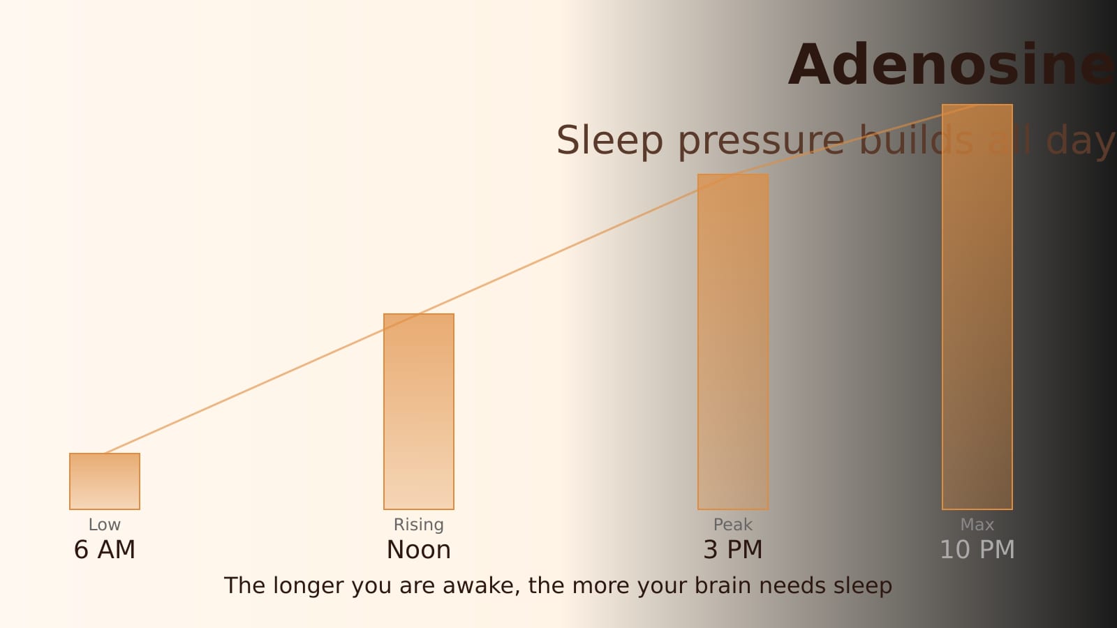 A clock showing afternoon time with a fading figure, representing afternoon drowsiness and sleep pressure buildup