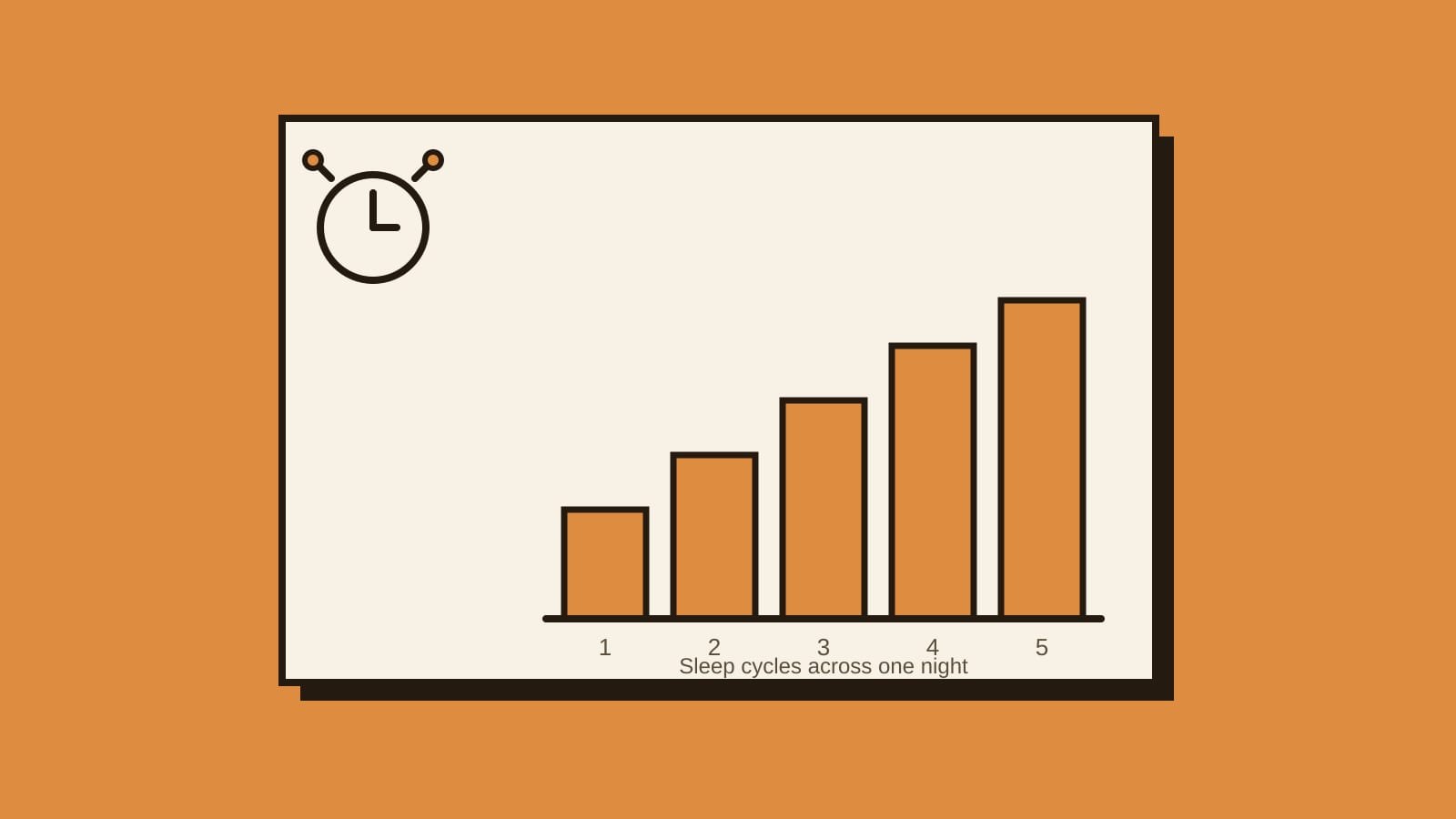 A diagram showing the progression of sleep stages through the night